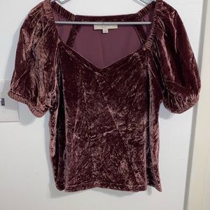 Crushed velvet Loft cropped top
